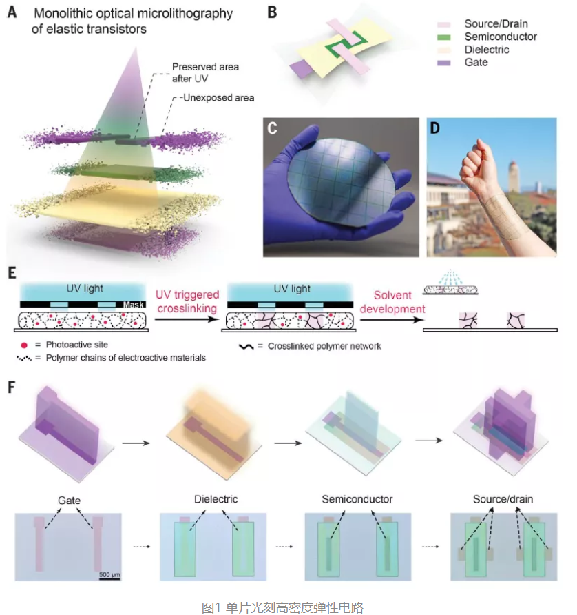 柔性電子女神，鮑哲南院士《Science》三連擊!