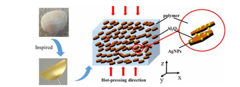 深圳先進(jìn)院汪正平院士團(tuán)隊(duì)在高導(dǎo)熱復(fù)合材料研究中取得新進(jìn)展