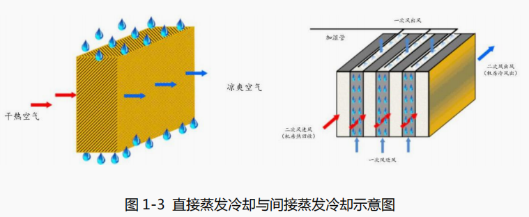 1647954029955491.png 6.png