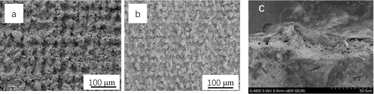 1682162137790852.png 10.png