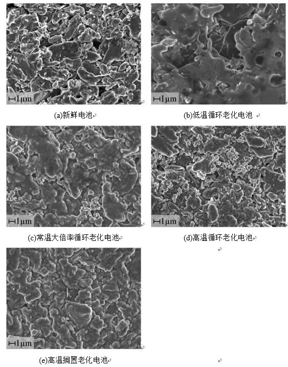 1692599439419552.jpg 11.jpg