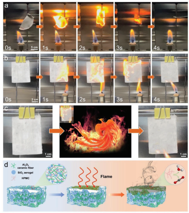 1694998861943871.png 3.png