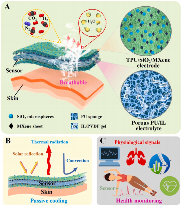 具有個(gè)人熱管理能力的離子電子觸覺(jué)傳感器