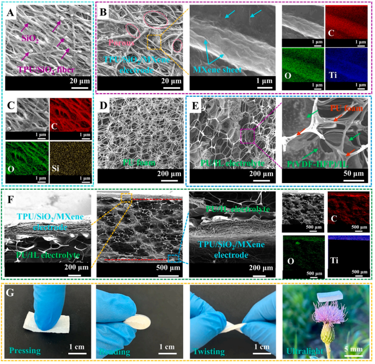 1699261313194719.png 3.png