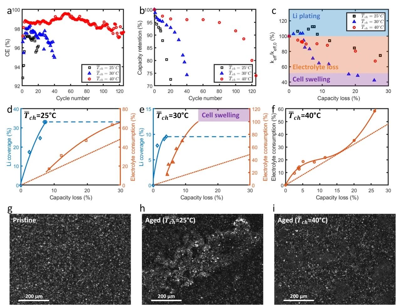 1705279542481051.jpg 6.jpg