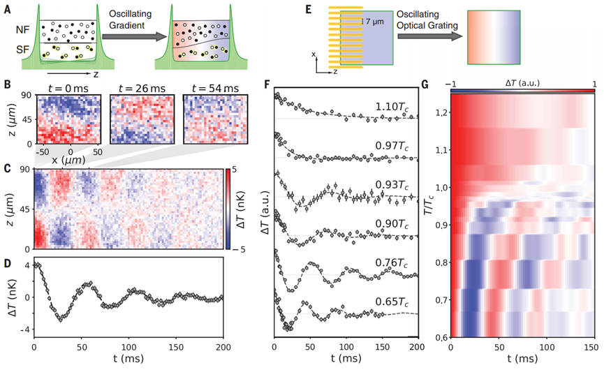 1708225117158201.png 3.png