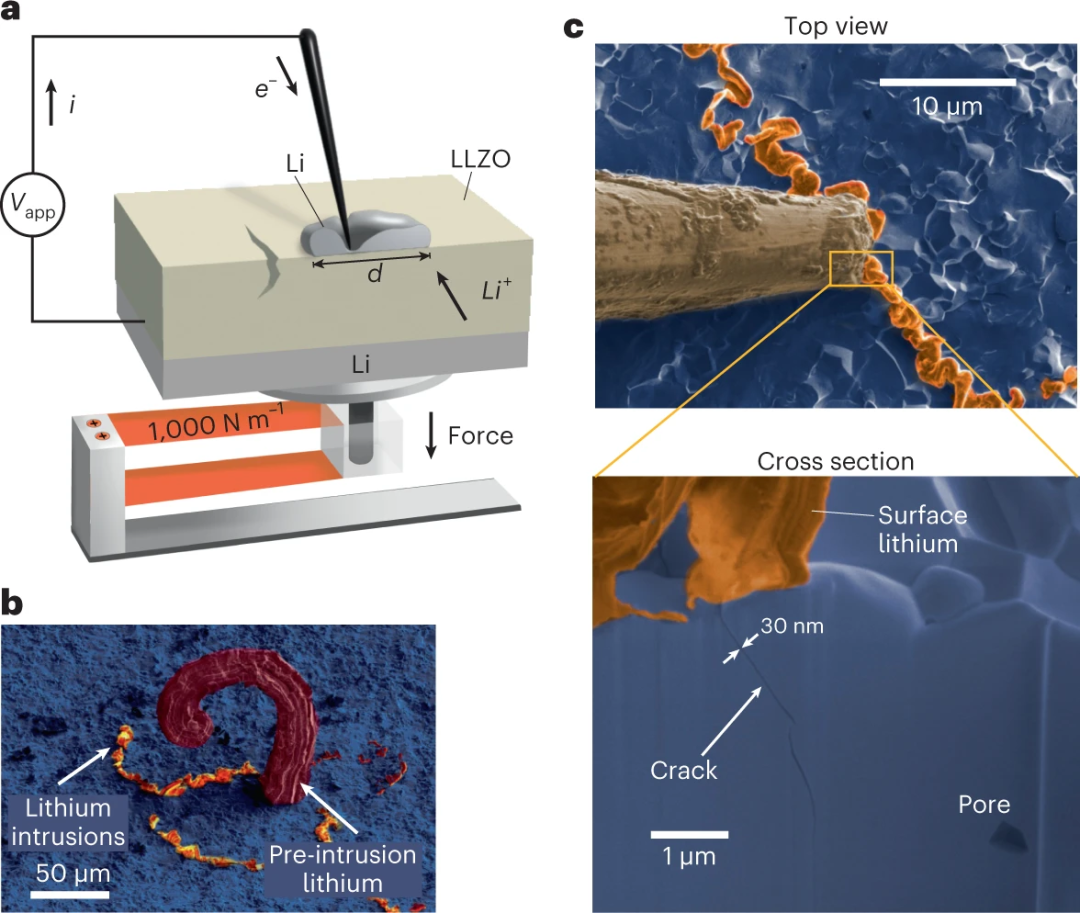 Nature Energy：應(yīng)力控制固態(tài)電解質(zhì)中鋰枝晶生長
