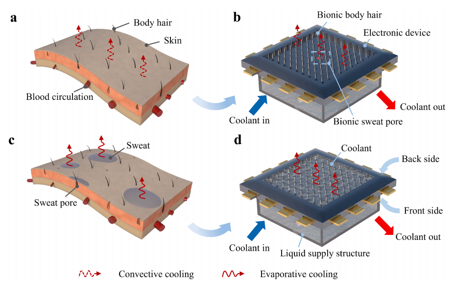 一種芯片自適應(yīng)微流散熱新進(jìn)展