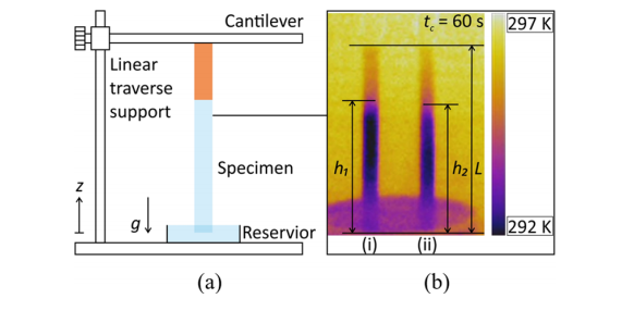 1715743528609137.png 4.png