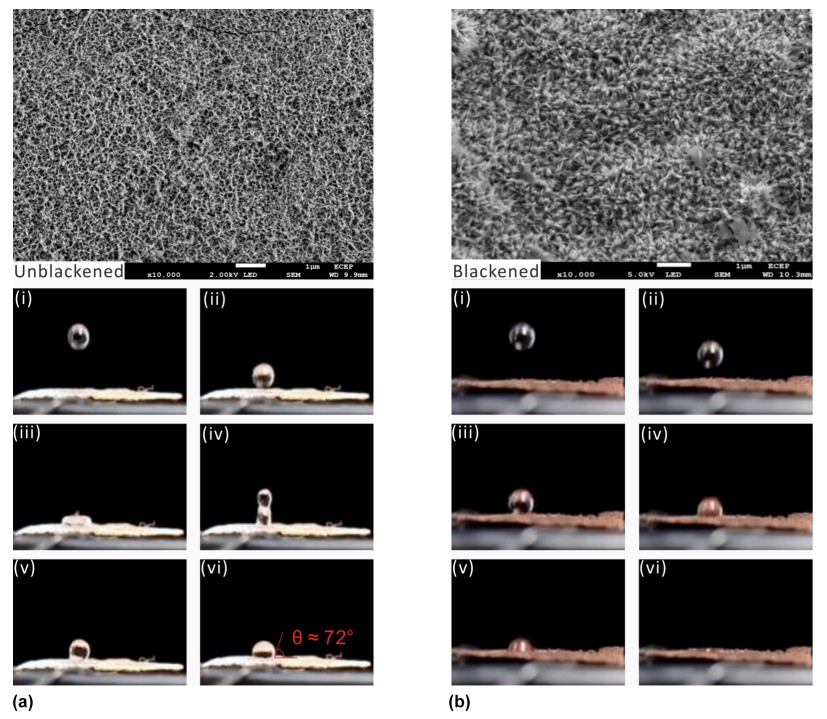 1715743543326177.png 7.png