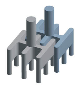 樹木的循環(huán)系統(tǒng)3D 模型