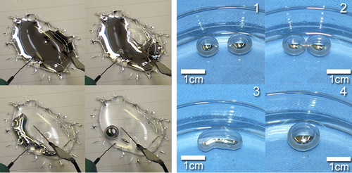 中國液態(tài)金屬變形技術(shù)獲突破 可用于液態(tài)機(jī)器人