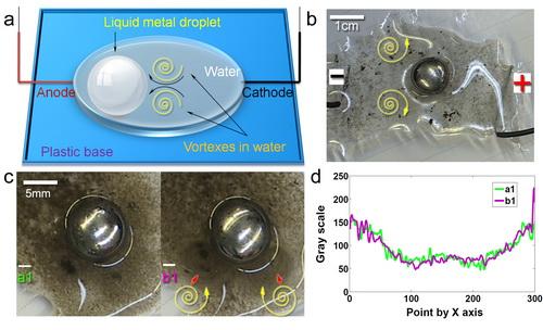 中國液態(tài)金屬變形技術(shù)獲突破 可用于液態(tài)機(jī)器人