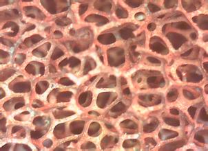 泡沫銅的應(yīng)用--相變載體