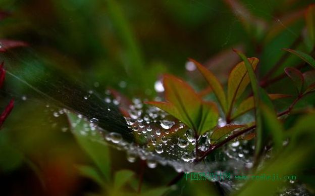 真正的三維熱超導(dǎo)